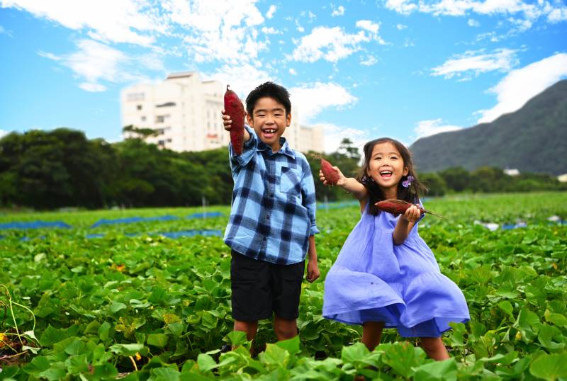 2024年9月20日（金）関西テレビ 「旬感LIVE とれたてっ！」　旬スポットからお届け！とれたてっ！ニッポン生中継コーナーにて、「アオアヲ ナルト リゾート」 アオアヲファーム“なると金時芋掘り体験”　が紹介されました。