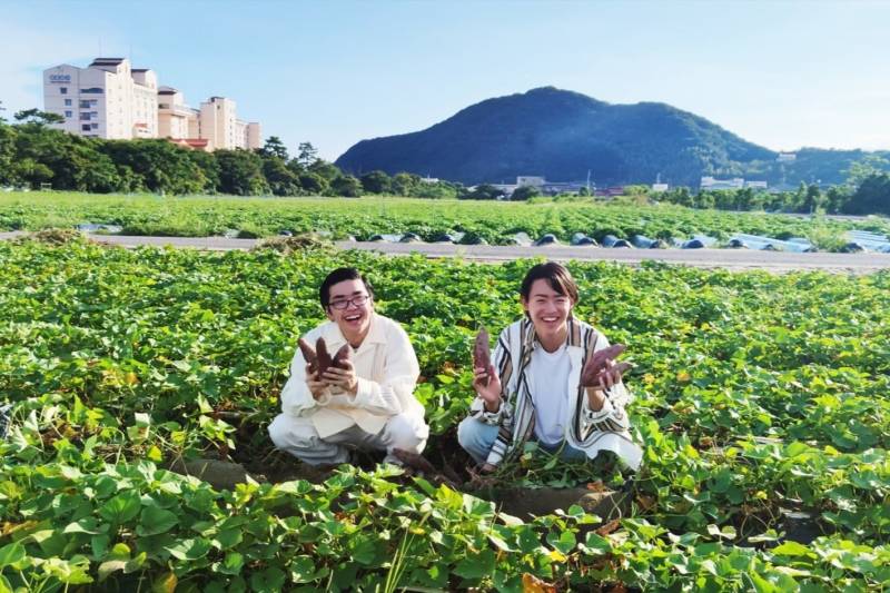 10月20日（火）関西テレビ 「よ～いドン！」の人気コーナー“いきなり！日帰りツアー”で、アオアヲ ナルト リゾートのなると金時芋掘り体験が紹介されました。